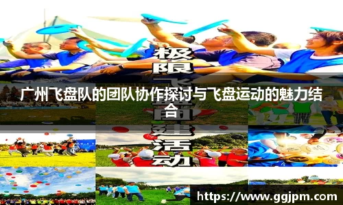 广州飞盘队的团队协作探讨与飞盘运动的魅力结合