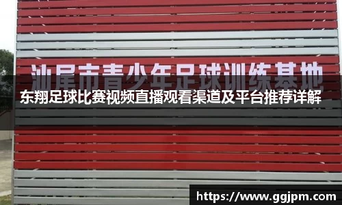 东翔足球比赛视频直播观看渠道及平台推荐详解